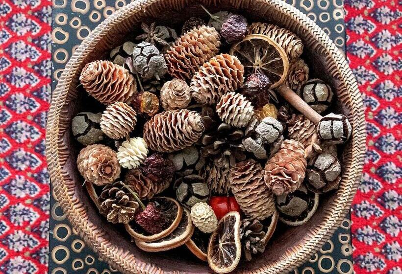 Spoon And The Stars Hostel