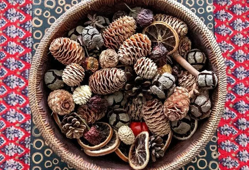 Spoon And The Stars Hostel