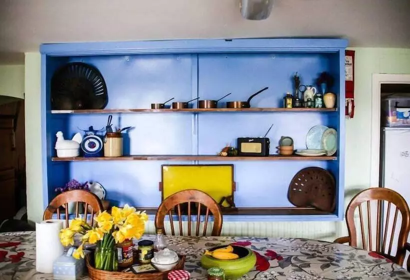 Spoon And The Stars Hostel