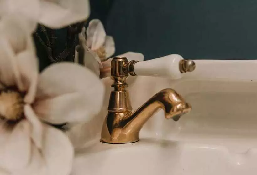 Spoon And The Stars Hostel