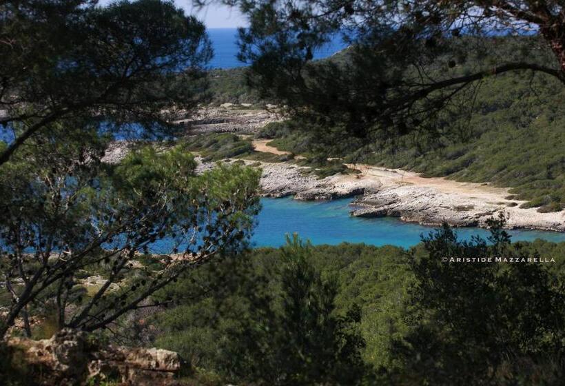 B&b Happy Days Golfo Di Gallipoli