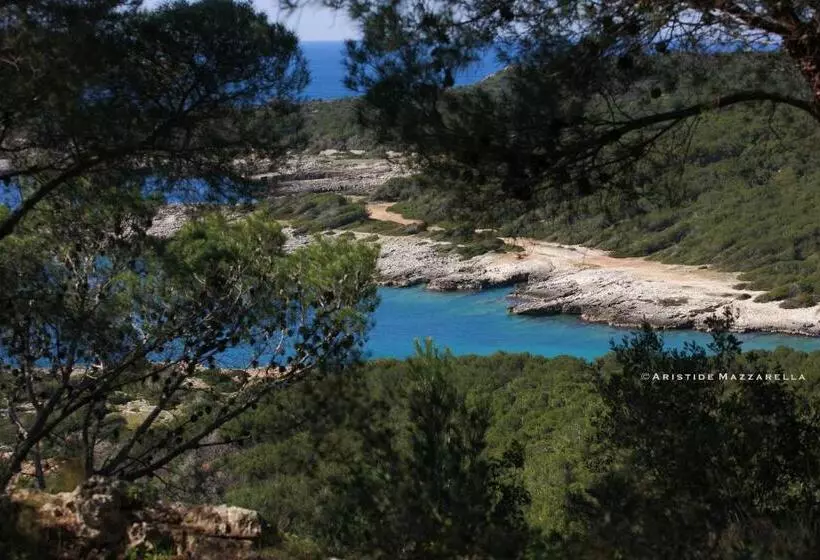 B&b Happy Days Golfo Di Gallipoli