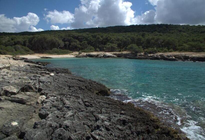 B&b Happy Days Golfo Di Gallipoli