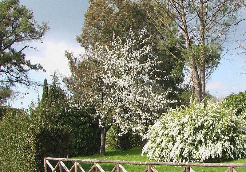 Bed and Breakfast Villa Iris