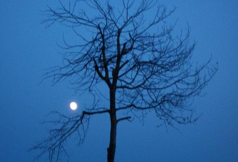 酒店 Albergo Ristorante K2