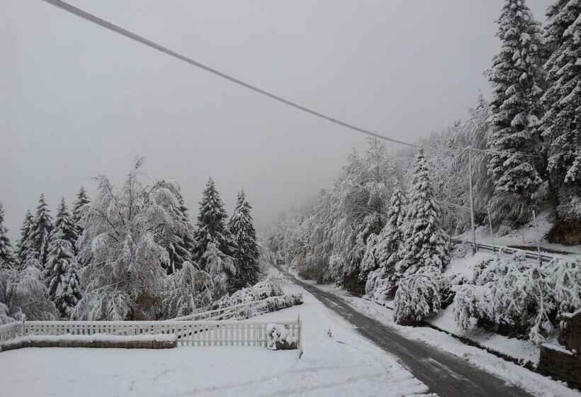 酒店 Albergo Ristorante K2