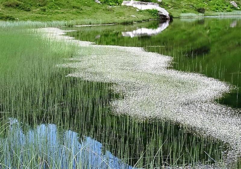 فندق Alpengasthof Grimmingblick