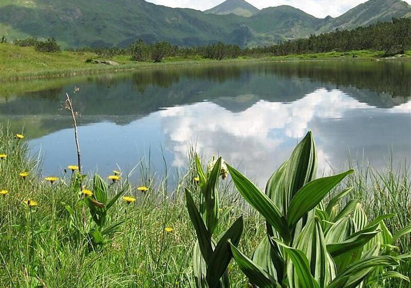 فندق Alpengasthof Grimmingblick