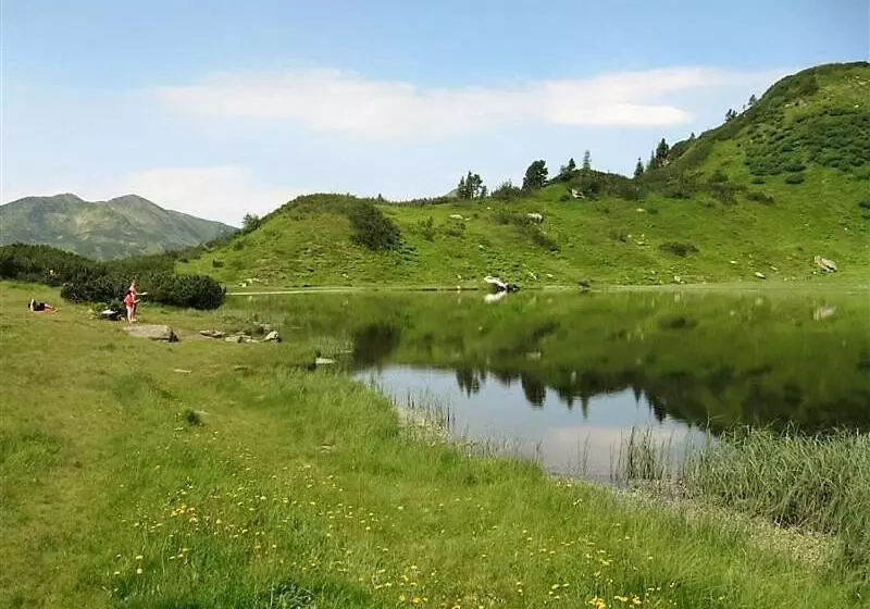 Hotelli Alpengasthof Grimmingblick