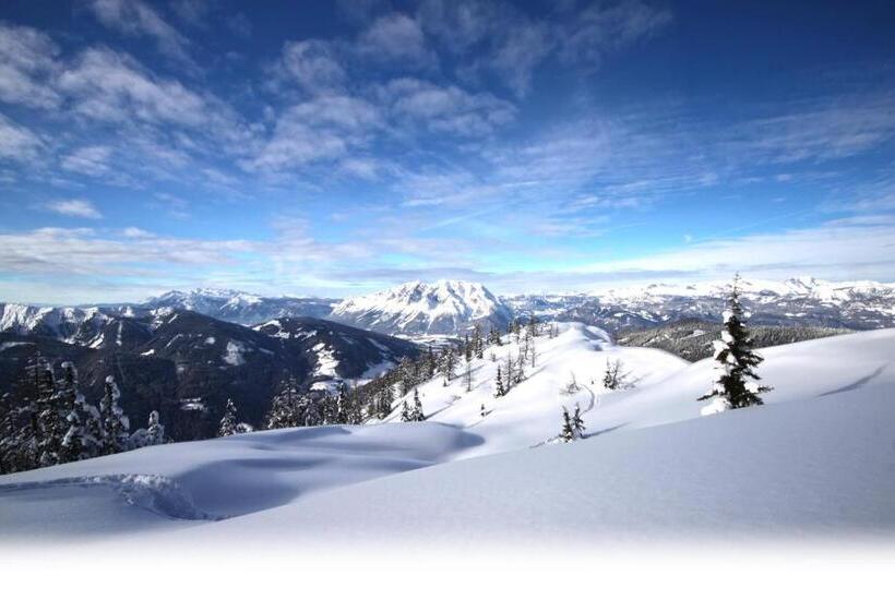 فندق Alpengasthof Grimmingblick