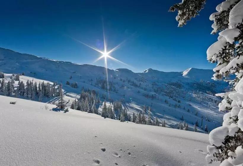 Hotelli Alpengasthof Grimmingblick