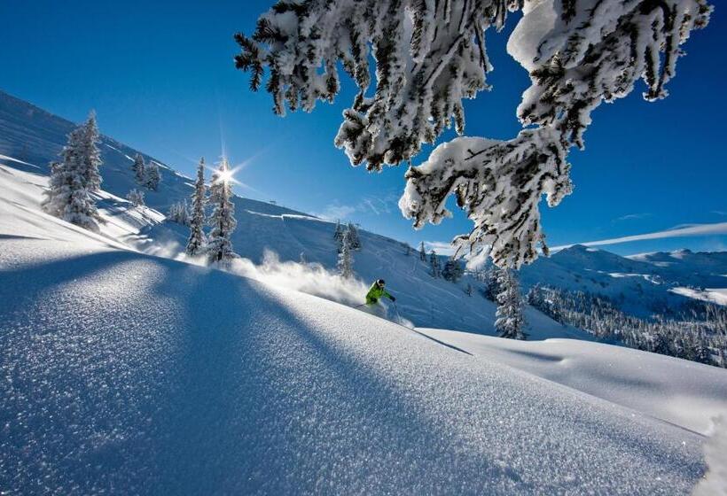 فندق Alpengasthof Grimmingblick