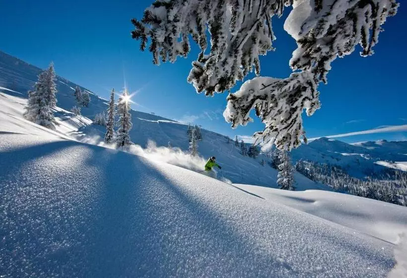 Hotelli Alpengasthof Grimmingblick