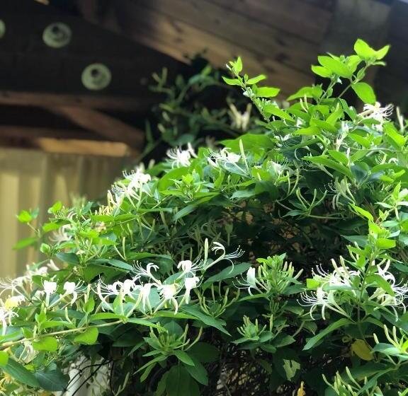 فندق Vecchia Stazione Mountain Elegance