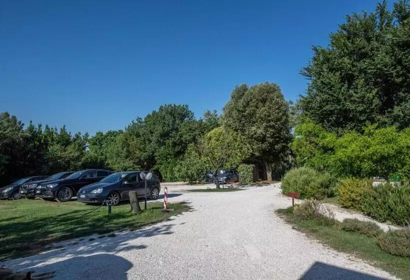 ベッドアンドブレックファースト Agromarino