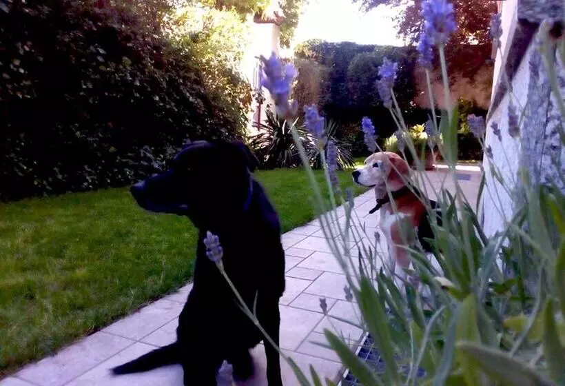 ベッドアンドブレックファースト Al Giardino Degli Artisti