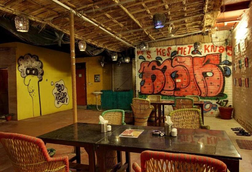 Bedweiser Backpackers Hostel