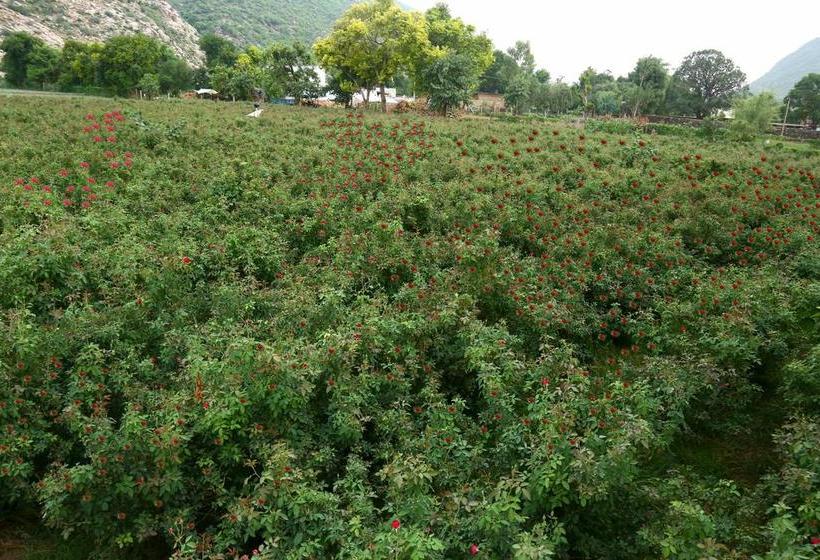 בית מלון כפרי Winter Mountain Resort