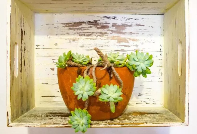 Hostel African Ubuntu Backpackers