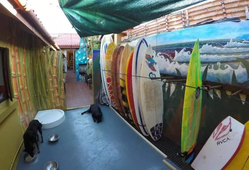 Hostel African Ubuntu Backpackers