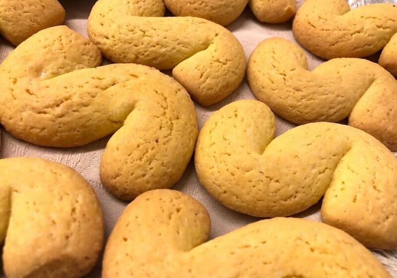 هاستل Domus Clugiae