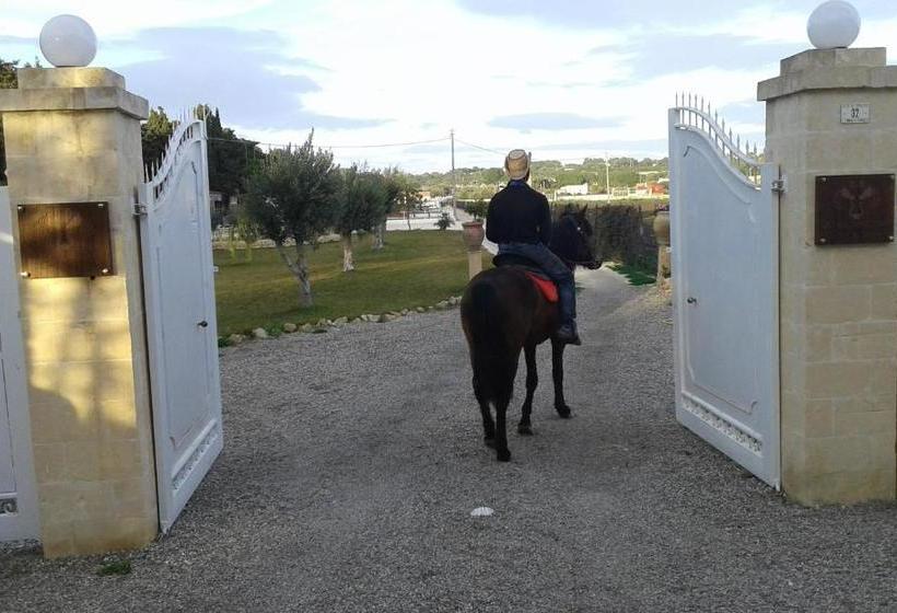 تختخواب و صبحانه Apollonion Country House