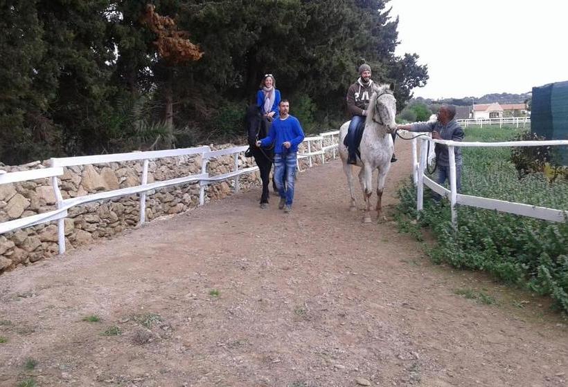 تختخواب و صبحانه Apollonion Country House