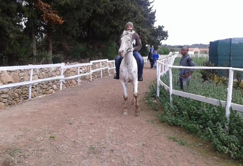 تختخواب و صبحانه Apollonion Country House