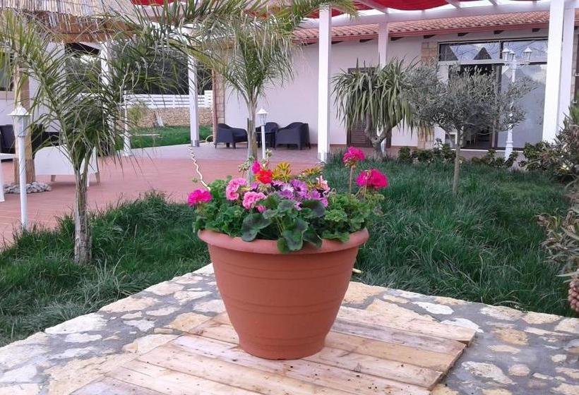 تختخواب و صبحانه Apollonion Country House