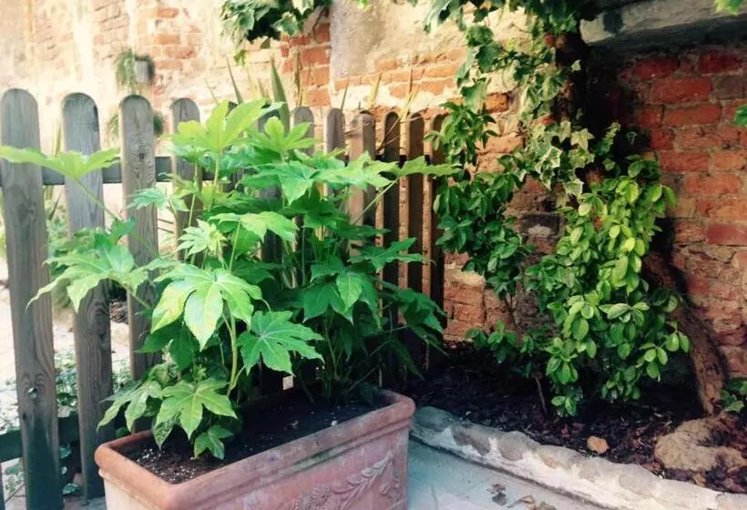 تختخواب و صبحانه Moodsiro Comi