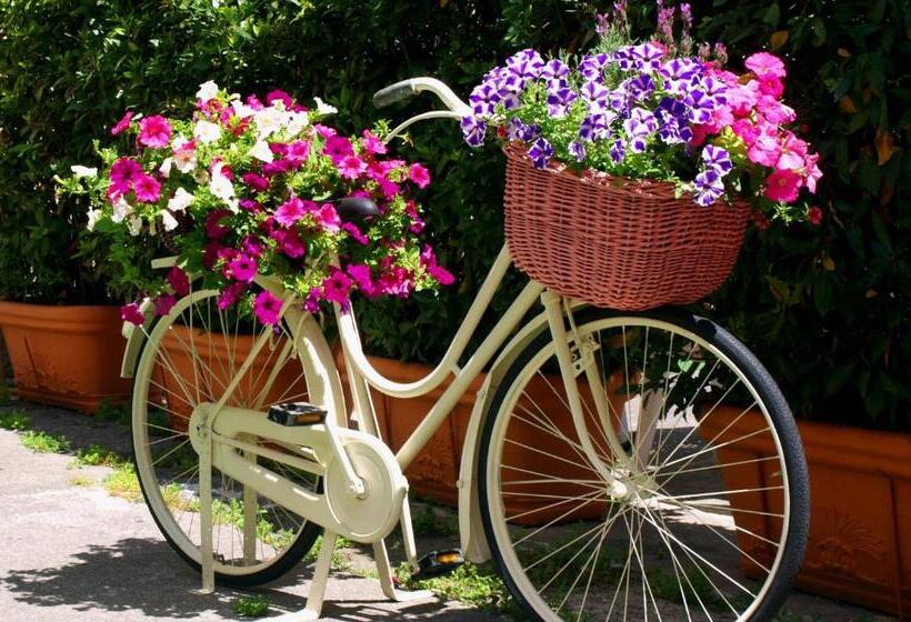 Bed And Breakfast San Francesco