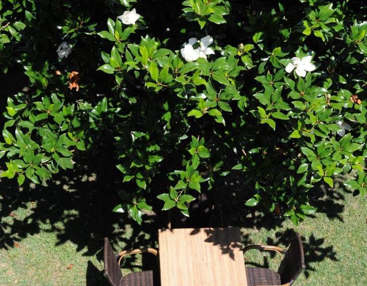 فندق Albergo Valentina