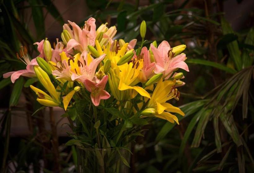 酒店 Zade Mount View