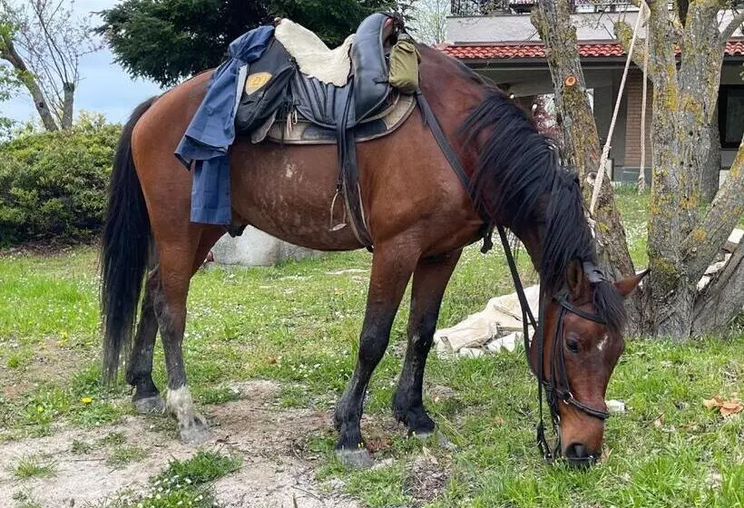 B&b Il Sentiero Dei Goti