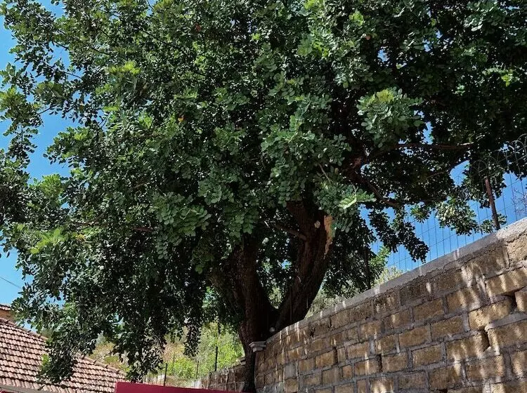 B&b Vento Di Scirocco