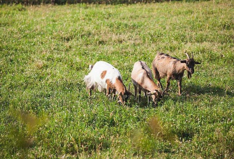 민박 Artemide Relais