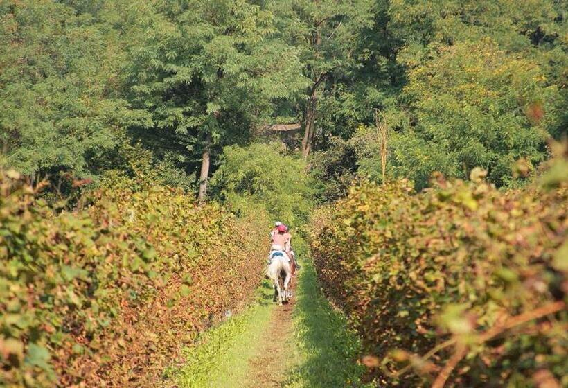 민박 Artemide Relais