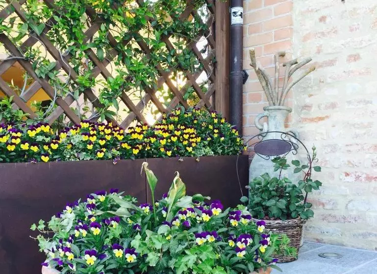 Aamiaismajoitus (B&B) Cascina Cortine