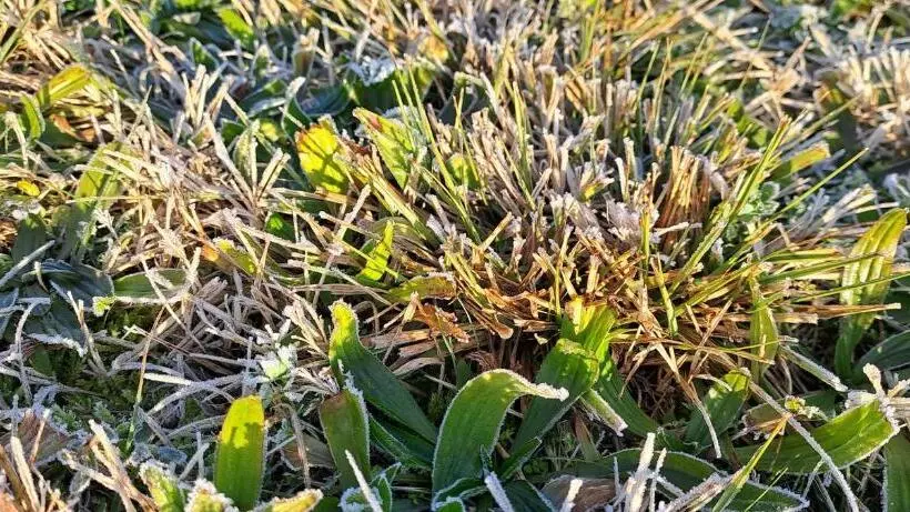 Bed and Breakfast Il Giuggiolo