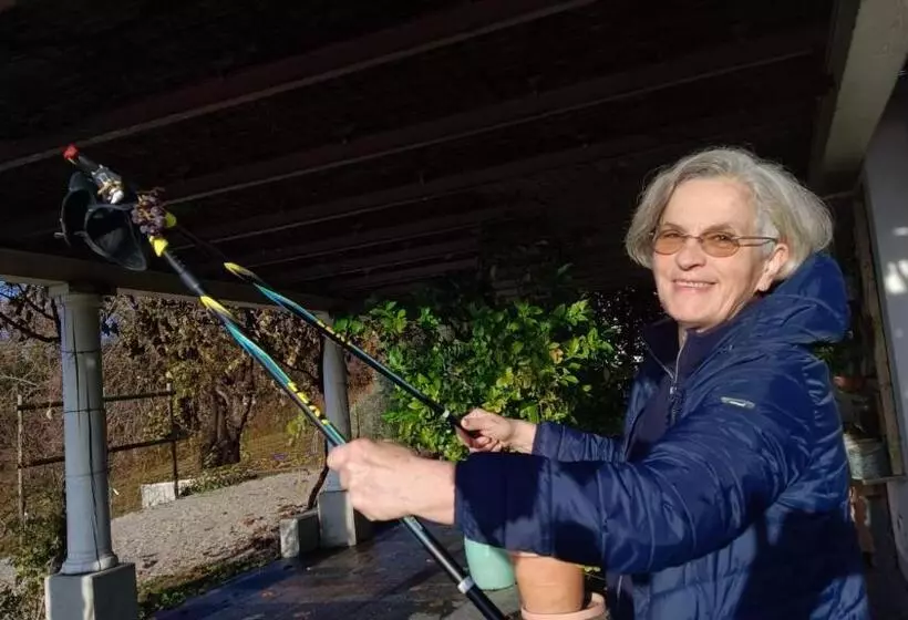 Bed and Breakfast Il Giuggiolo