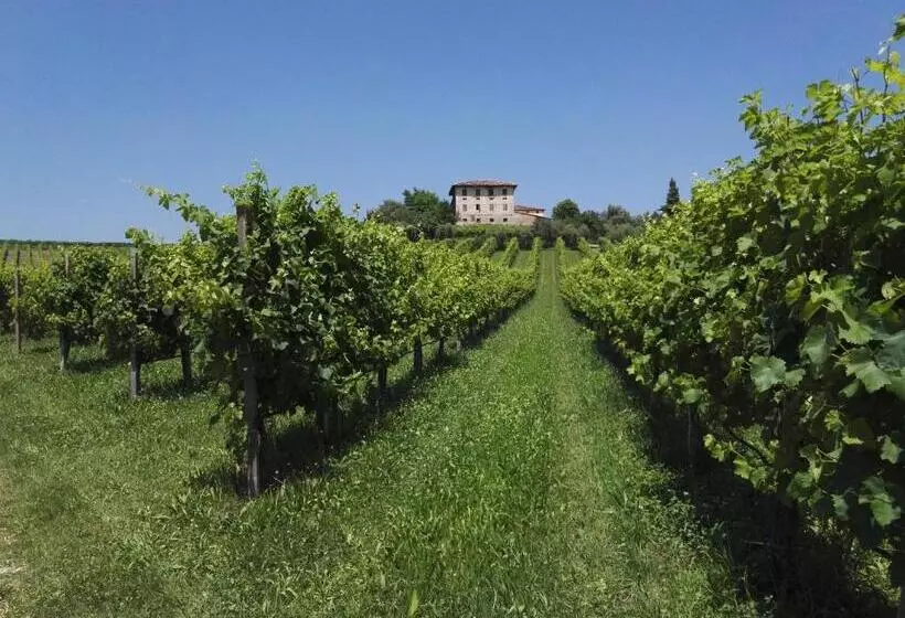 Bed and Breakfast Il Giuggiolo