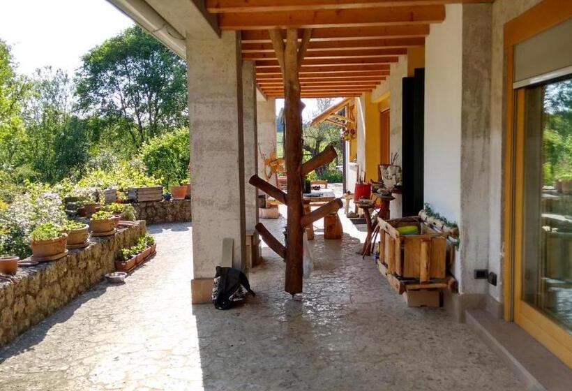 Bed and Breakfast Il Giuggiolo