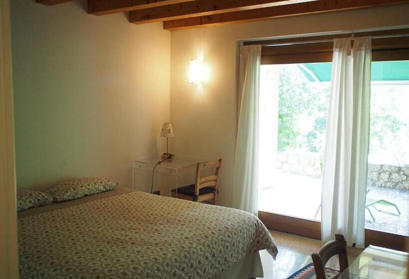 Bed and Breakfast Il Giuggiolo