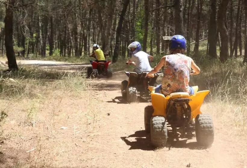 Aamiaismajoitus (B&B) Masseria Chinunno