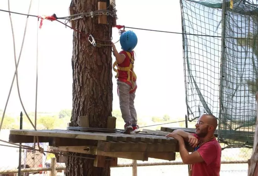 Aamiaismajoitus (B&B) Masseria Chinunno