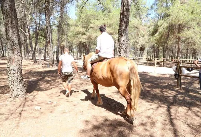 Aamiaismajoitus (B&B) Masseria Chinunno