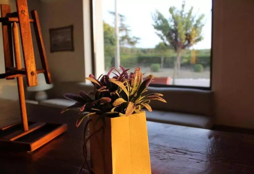 Aamiaismajoitus (B&B) Masseria Chinunno