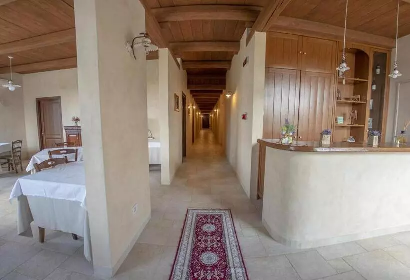 Aamiaismajoitus (B&B) Masseria Chinunno