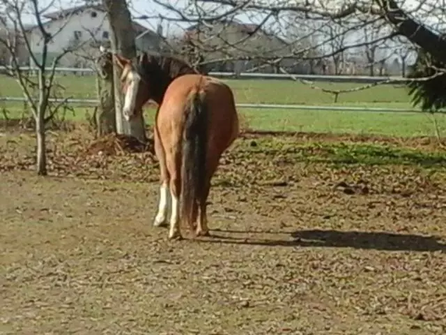 B&b Cm Ranch