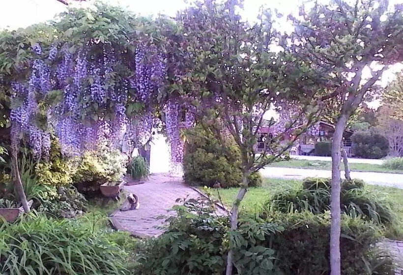 B&b Cm Ranch